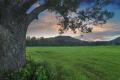 Picture perfect - Over 400m of prime creek frontage - a stunning mountain backdrop