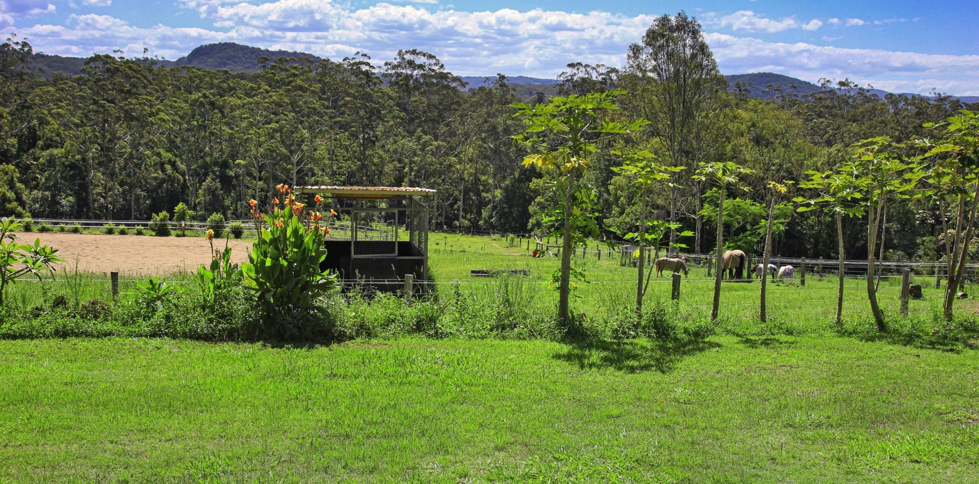 Sunshine Property Agents Charming Countryside Retreat for Rent in Yandina