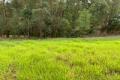 Best-Value Buderim Land!