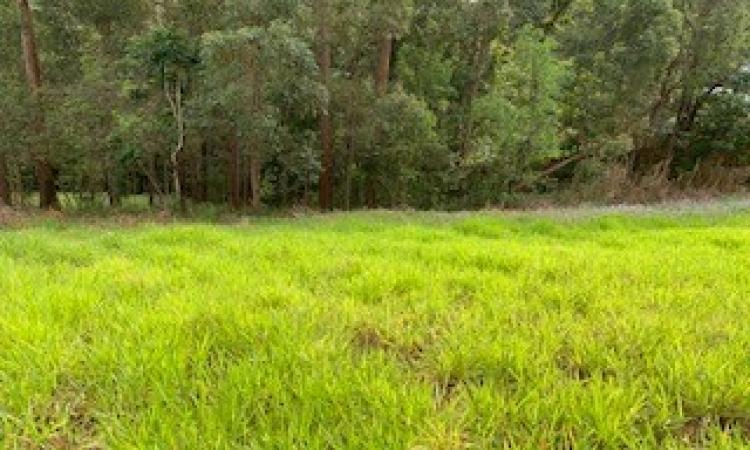 Best-Value Buderim Land!