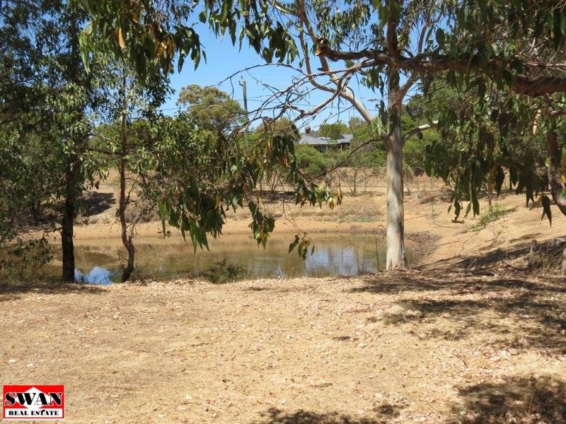 11 Connemara Drive, Brigadoon - Thumbnail 5