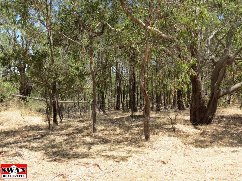 11 Connemara Drive, Brigadoon - Thumbnail 6