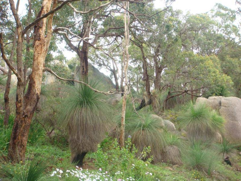 Swan View, Swan View - Thumbnail 2