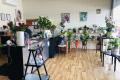 Mowbray Florist Only Florist In Northern Suburbs O/O $29,000 Wiwo