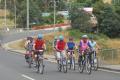 Tasmania's First Touring Style Bike Tours Lifestyle Business Opportunity Est 22 Yrs O/O $79,000 wiwo