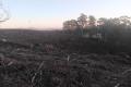 50 Acres Secluded Private Undulating Elevated Land 36 mins to Lton