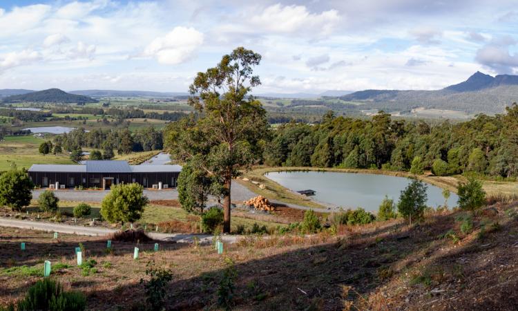 Tassie's Top Mountain Retreat offering Income Lifestyle & Spectacular Panoramic Views