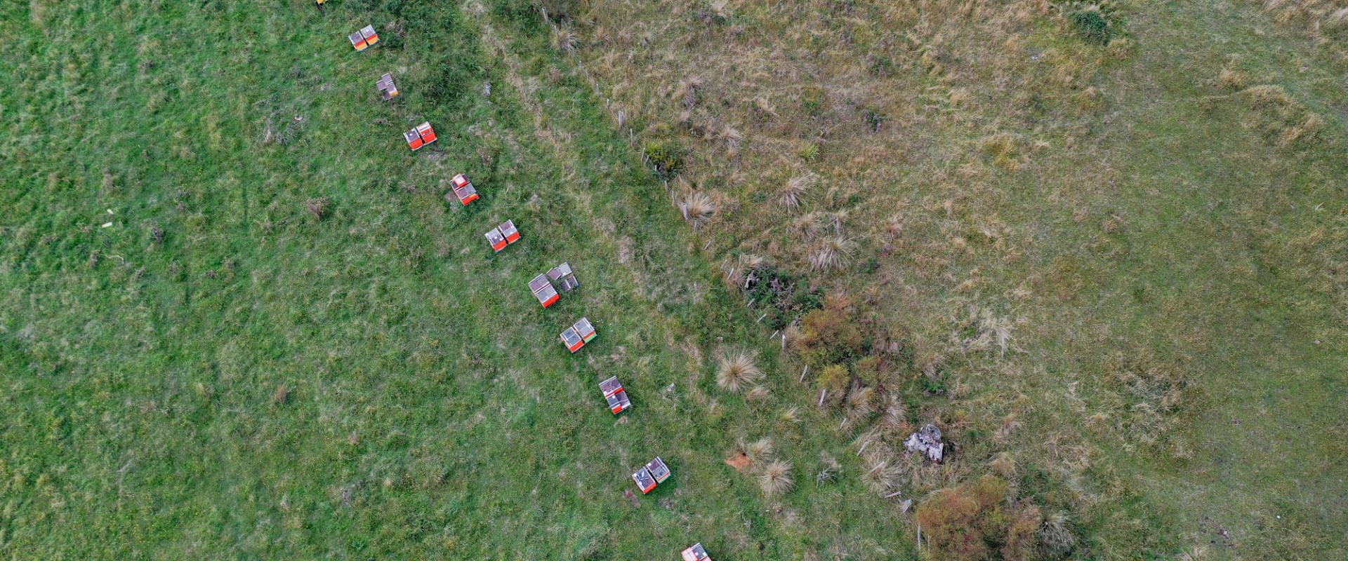 Businesses for saleBusinesses for sale in TasmaniaBest Business