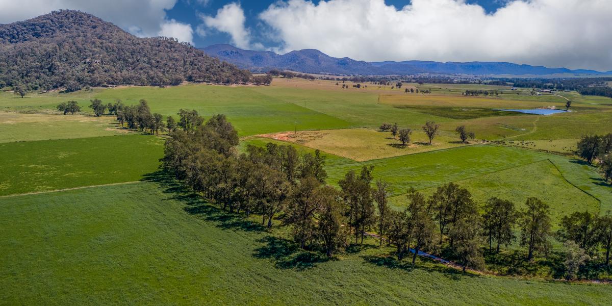 “Glen Gallic” 1692 Martindale Road, Martindale Via Denman - Hunter Valley NSW