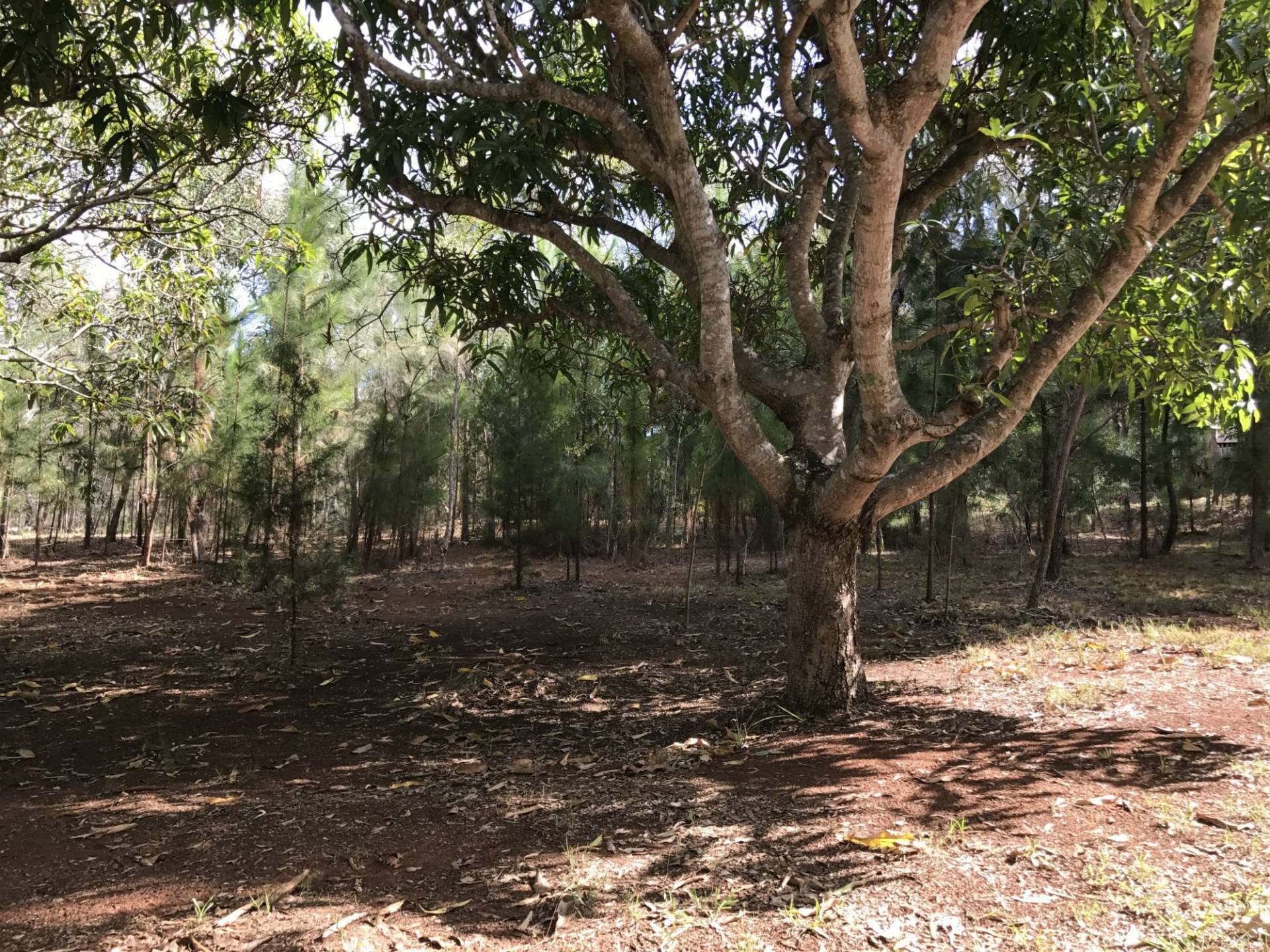 106-108 Treasure Island Avenue, Karragarra Island, Karragarra Island - Thumbnail 2