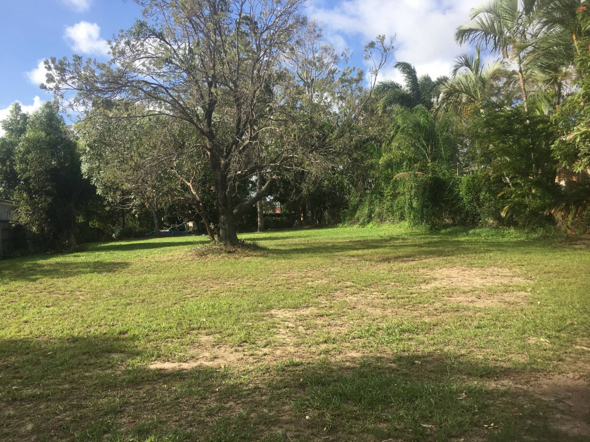 14 Alistair Court, Macleay Island, Macleay Island - Thumbnail 6