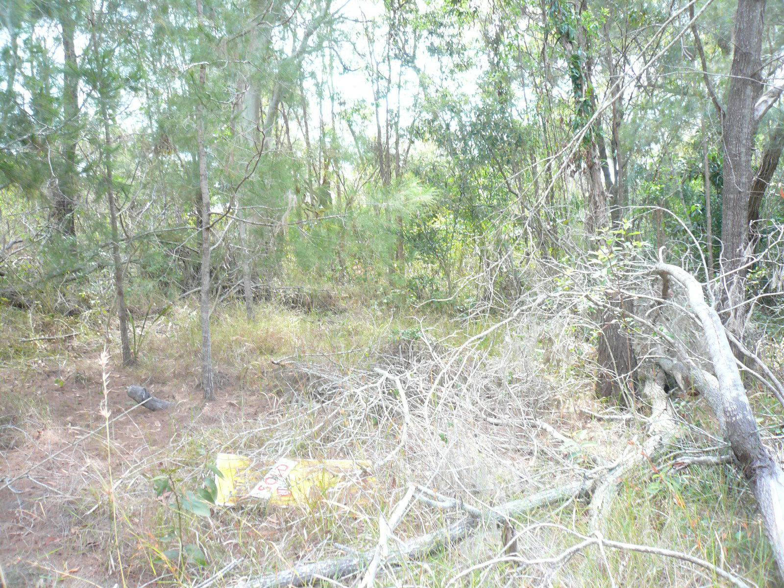 3 Rhodes Street, Macleay Island, Macleay Island - Thumbnail 3