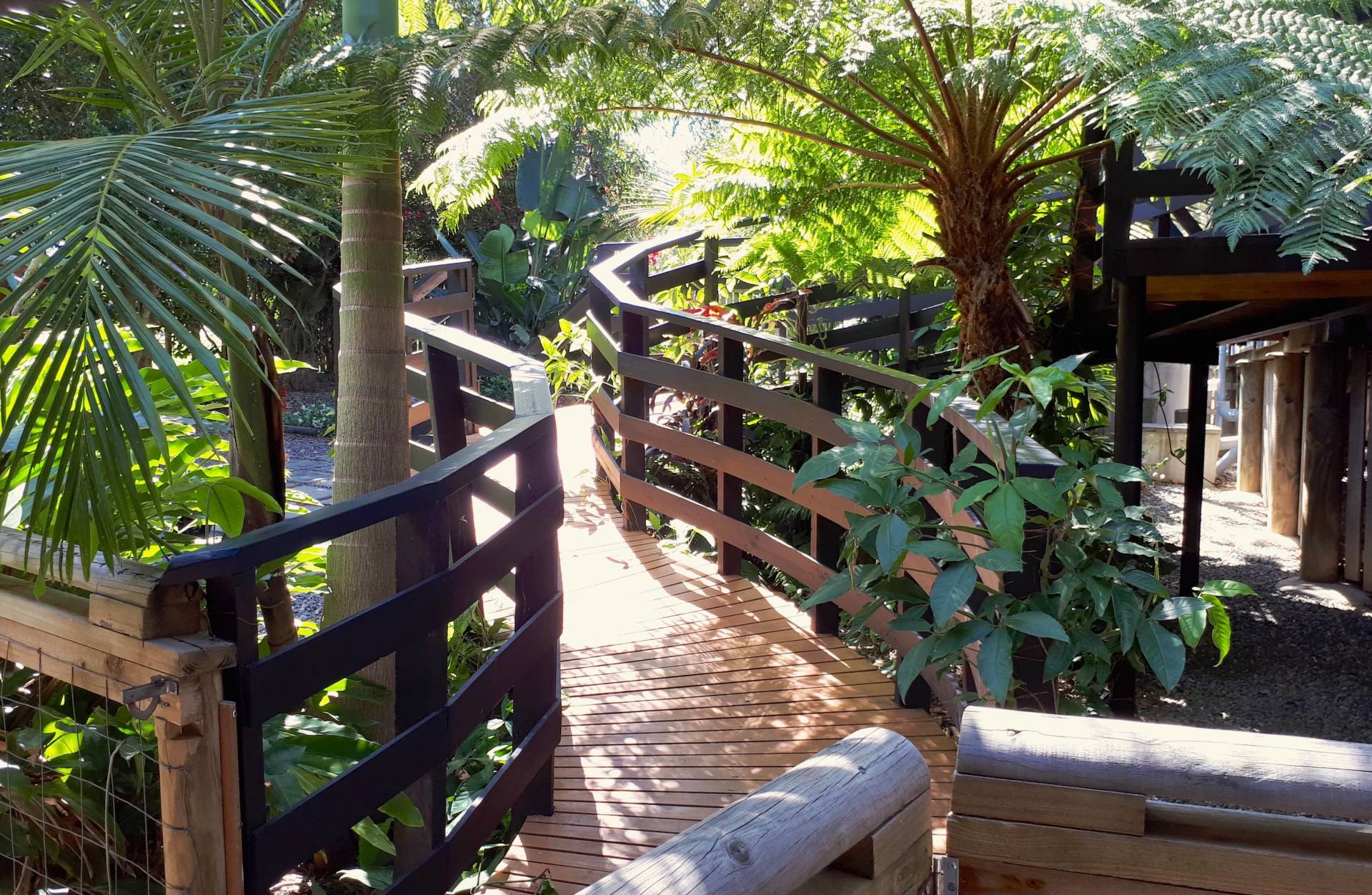 62 Timothy Street, Macleay Island, Macleay Island - Thumbnail 3