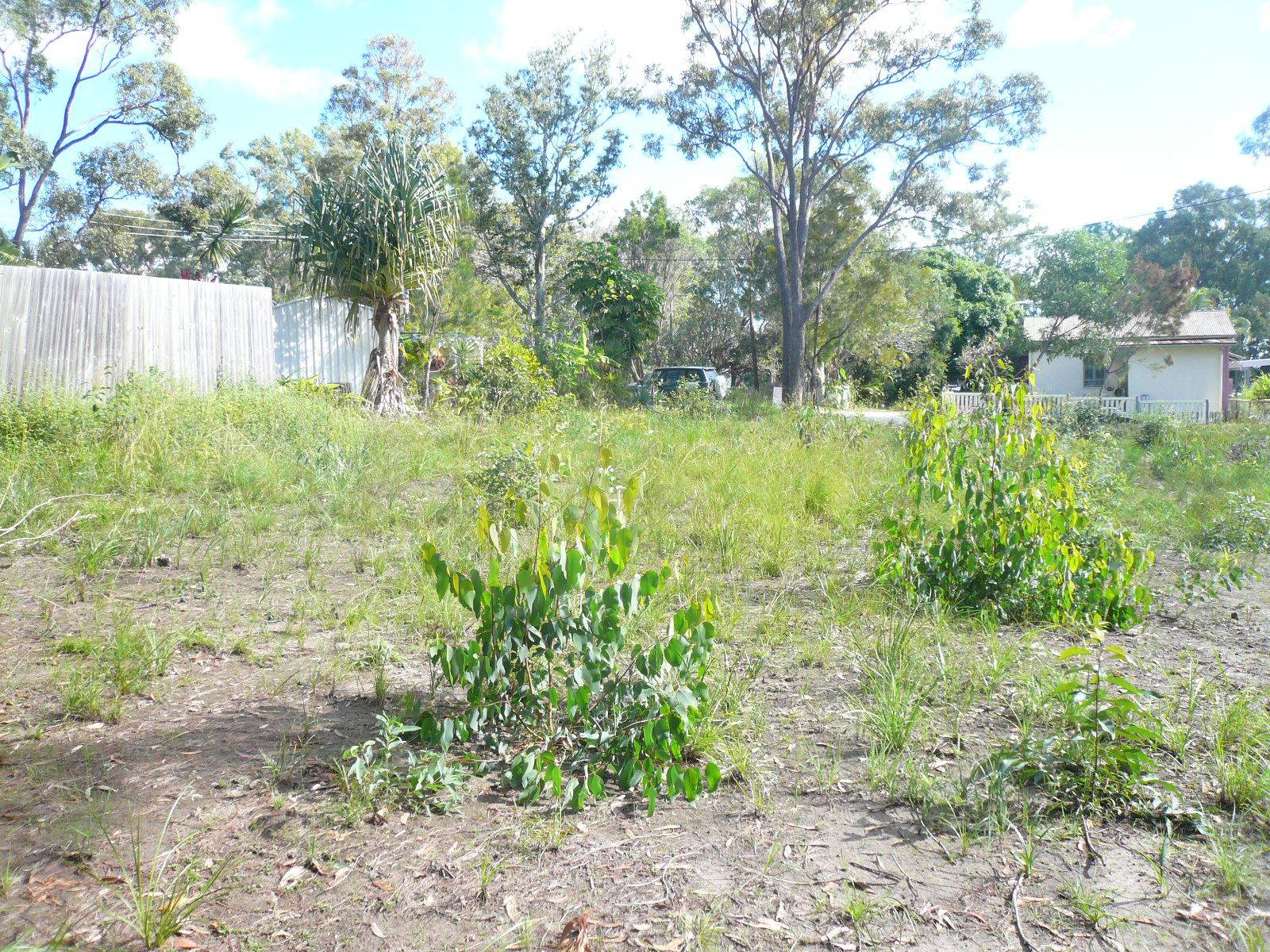 4-6 Heath Street, Macleay Island, Macleay Island - Thumbnail 2