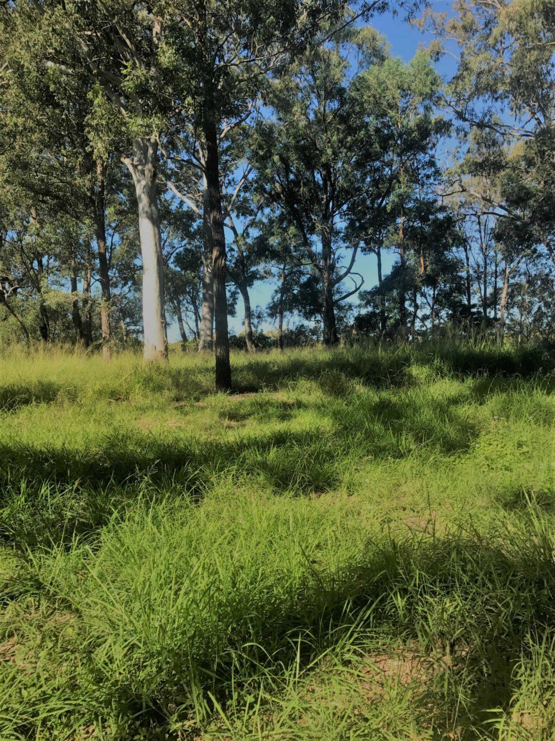 9 Boat Harbour Avenue St, Macleay Island, Macleay Island - Thumbnail 2