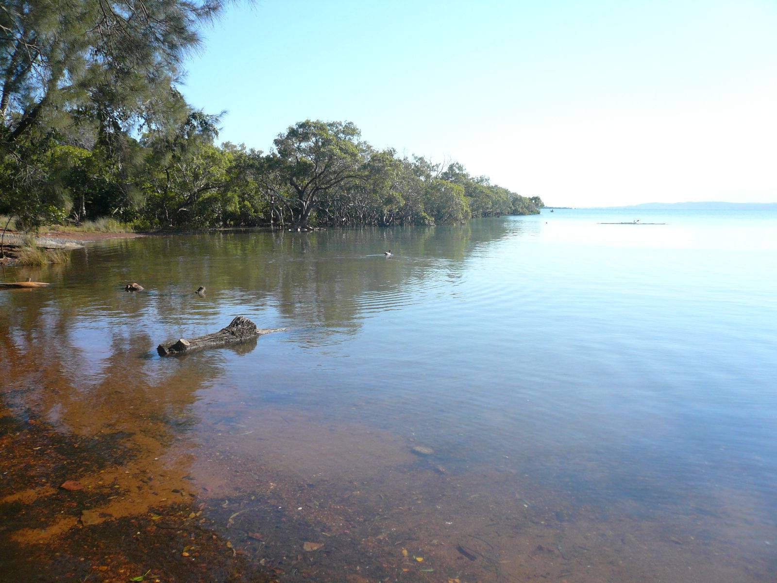 36 Mel Street, Macleay Island, Macleay Island - Thumbnail 3