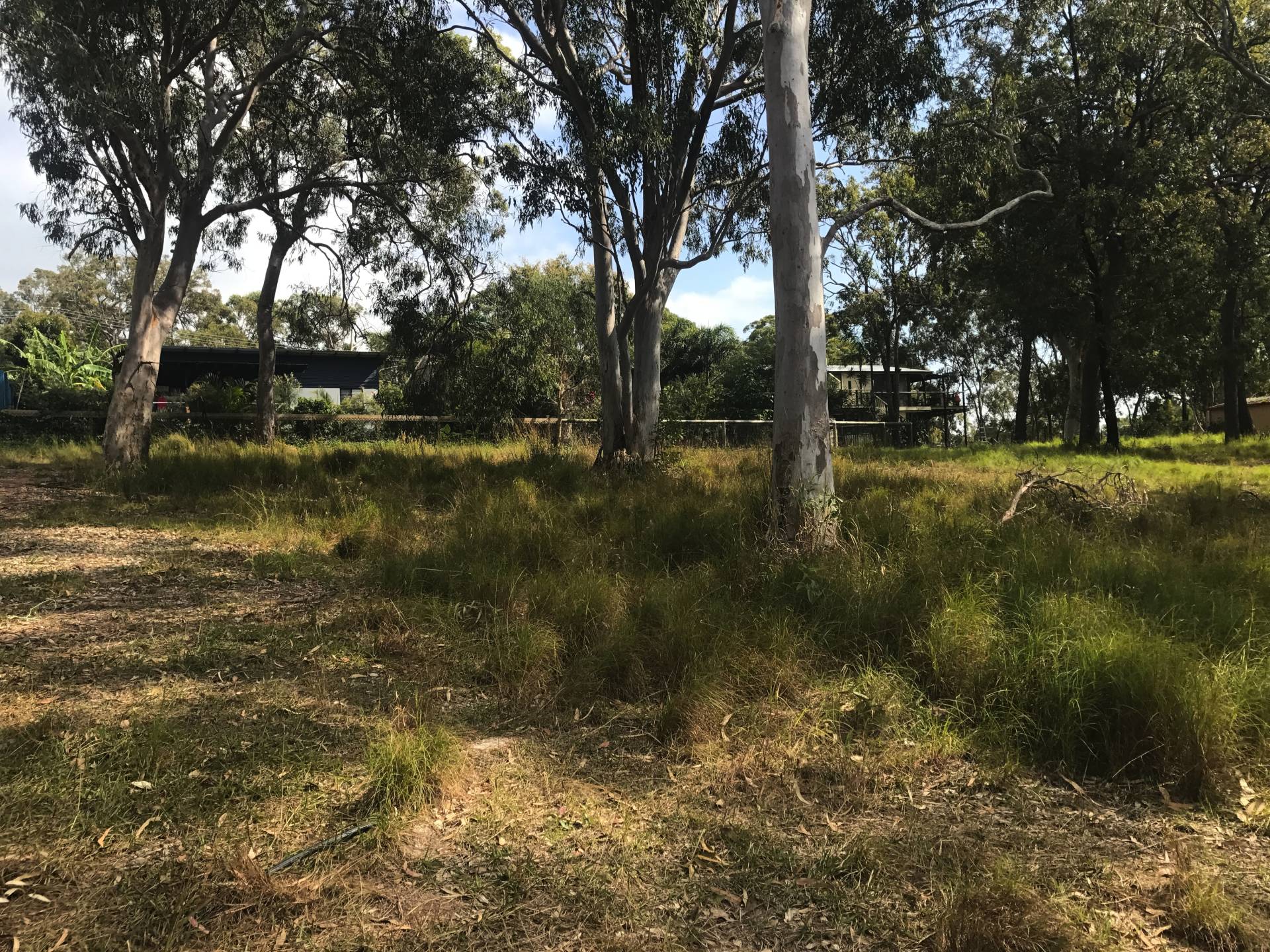 3 Alkira Street, Macleay Island, Macleay Island - Thumbnail 3