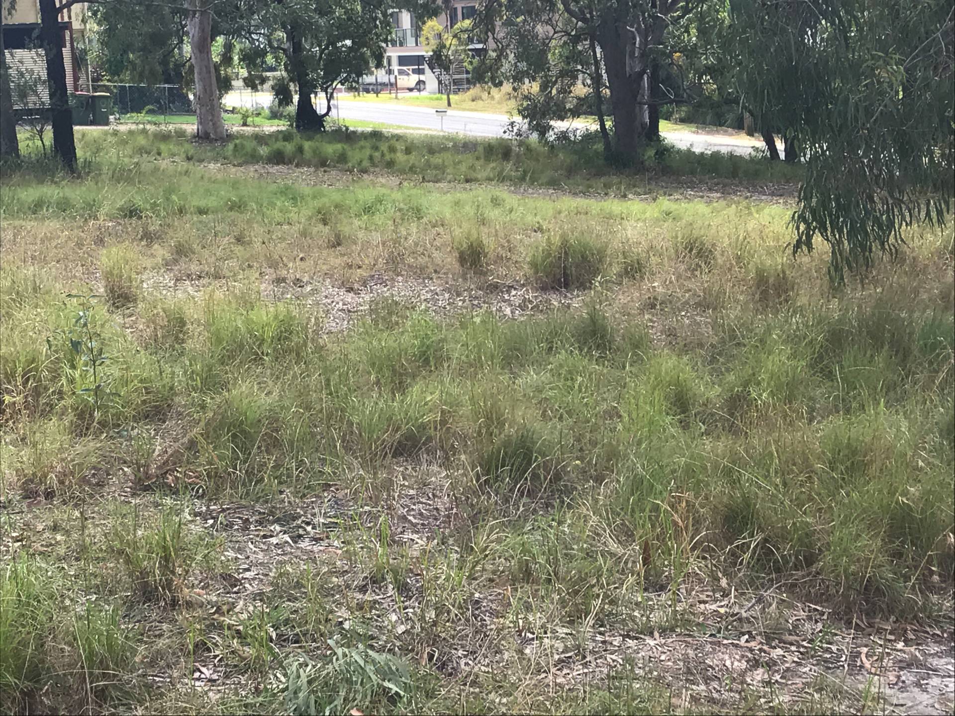 3 Alkira Street, Macleay Island, Macleay Island - Thumbnail 5