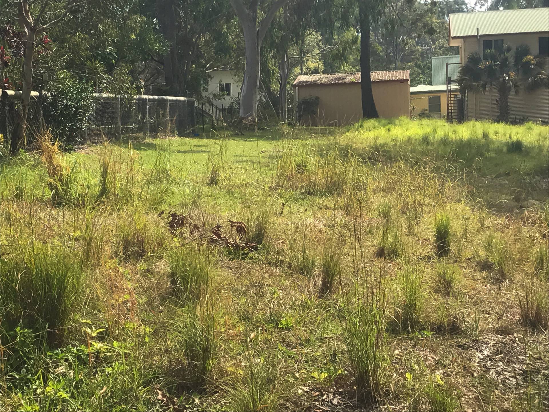 3 Alkira Street, Macleay Island, Macleay Island - Thumbnail 4