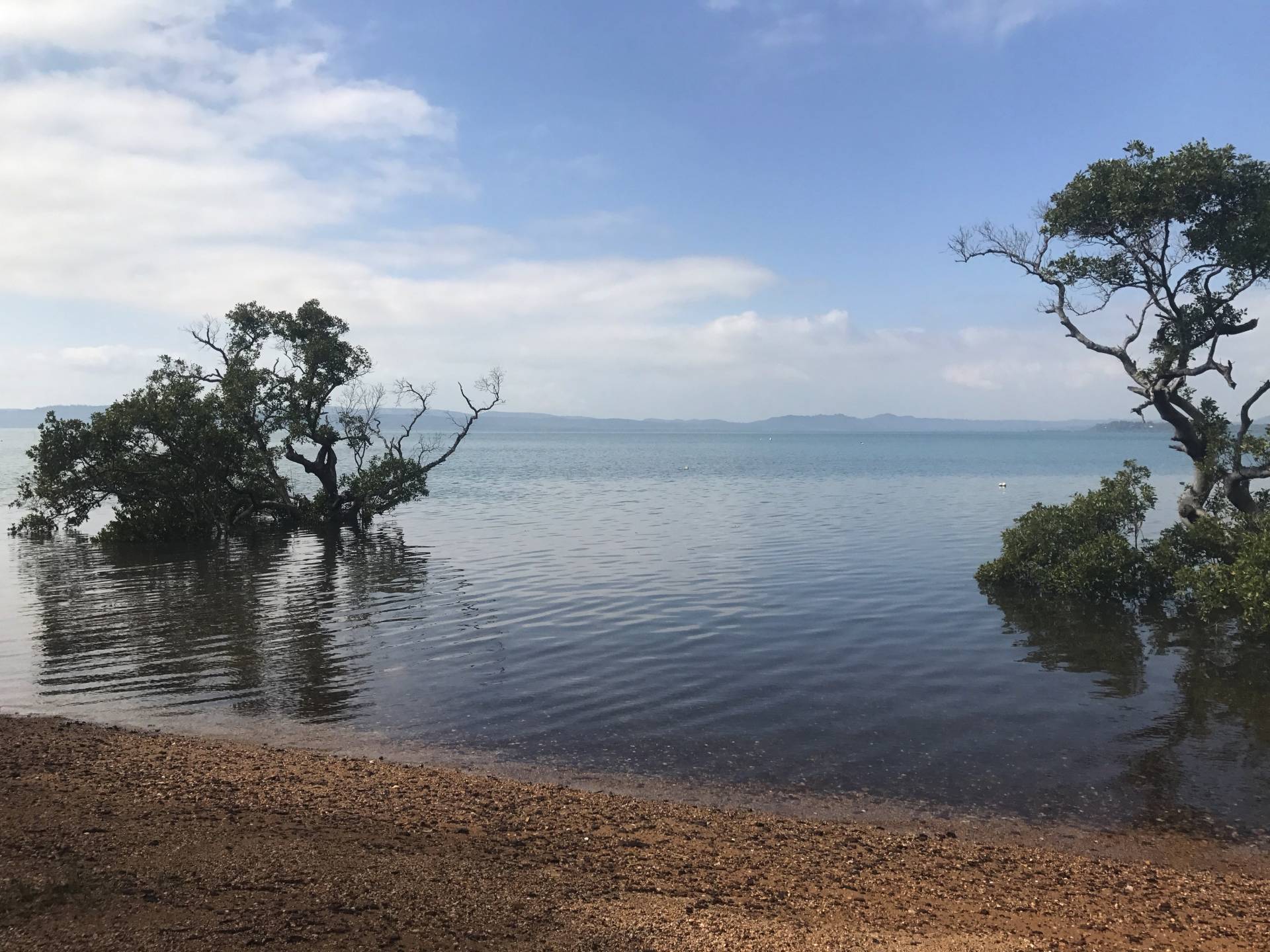 3 Alkira Street, Macleay Island, Macleay Island - Thumbnail 6