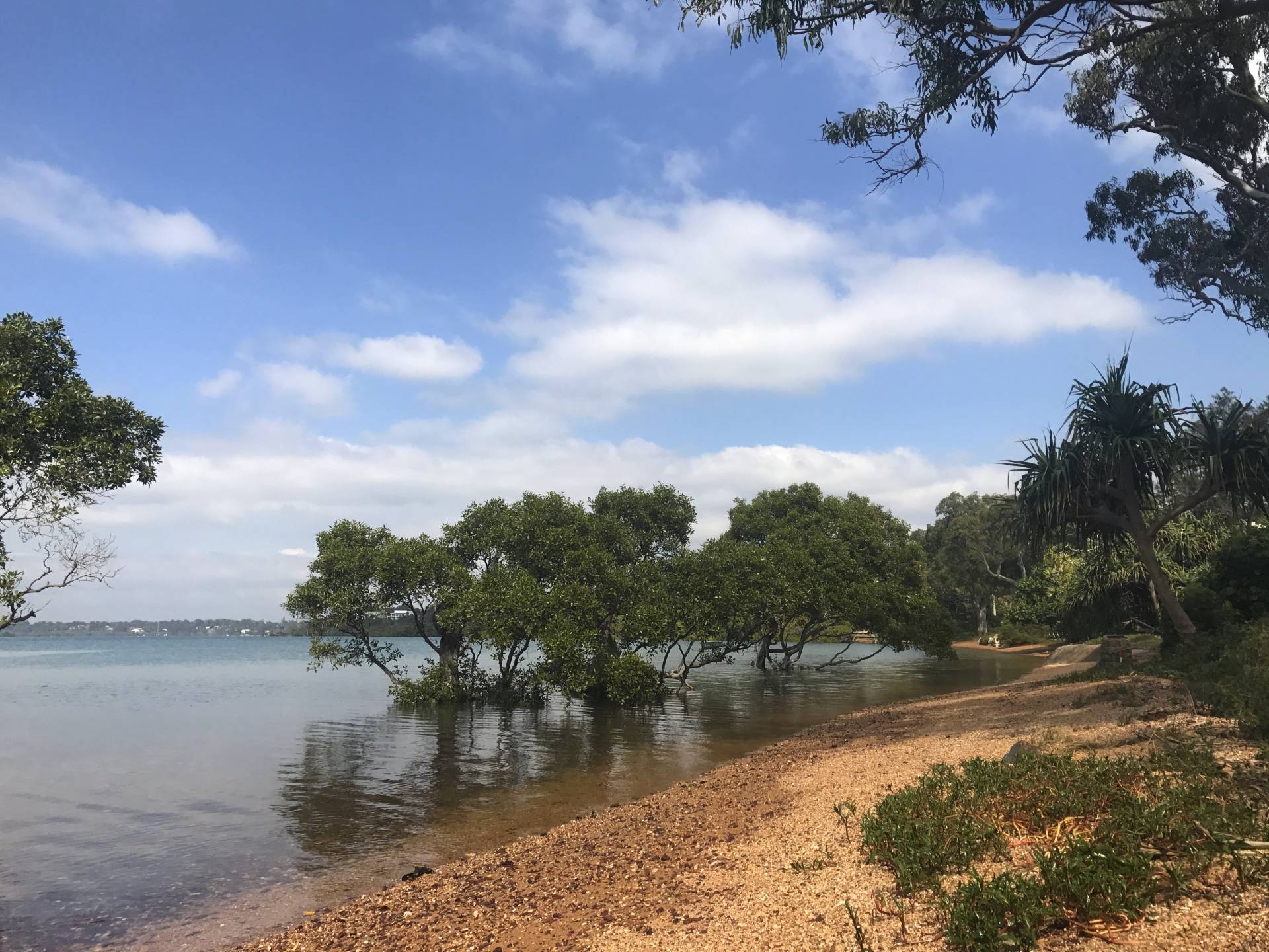 3 Alkira Street, Macleay Island, Macleay Island - Thumbnail 7