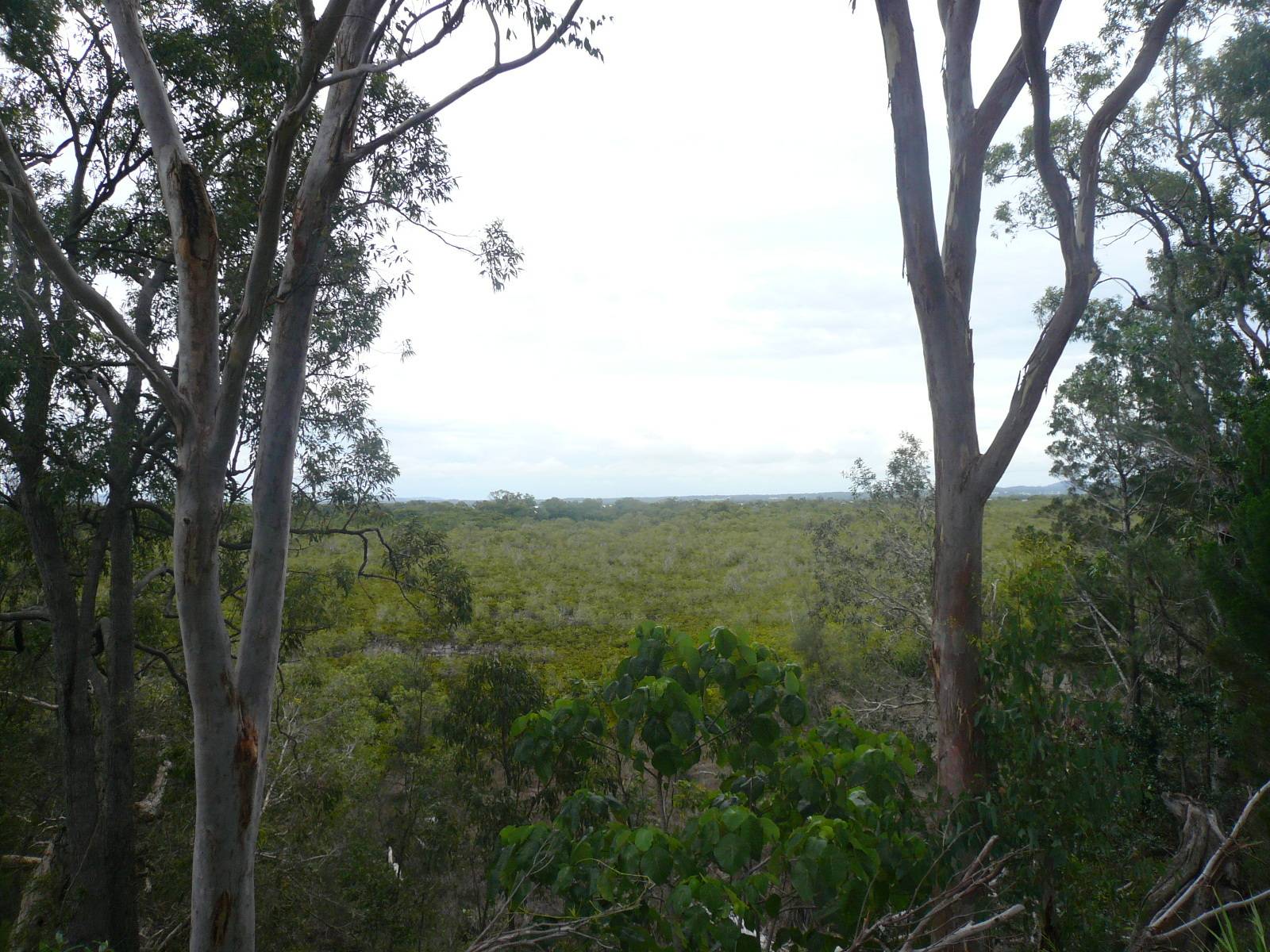 56 Treasure Island Ave, Karragarra Island, Karragarra Island - Thumbnail 3