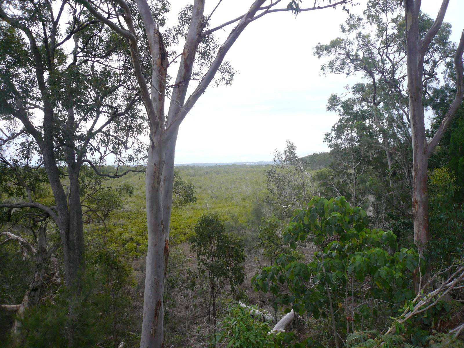 56 Treasure Island Ave, Karragarra Island, Karragarra Island - Thumbnail 4
