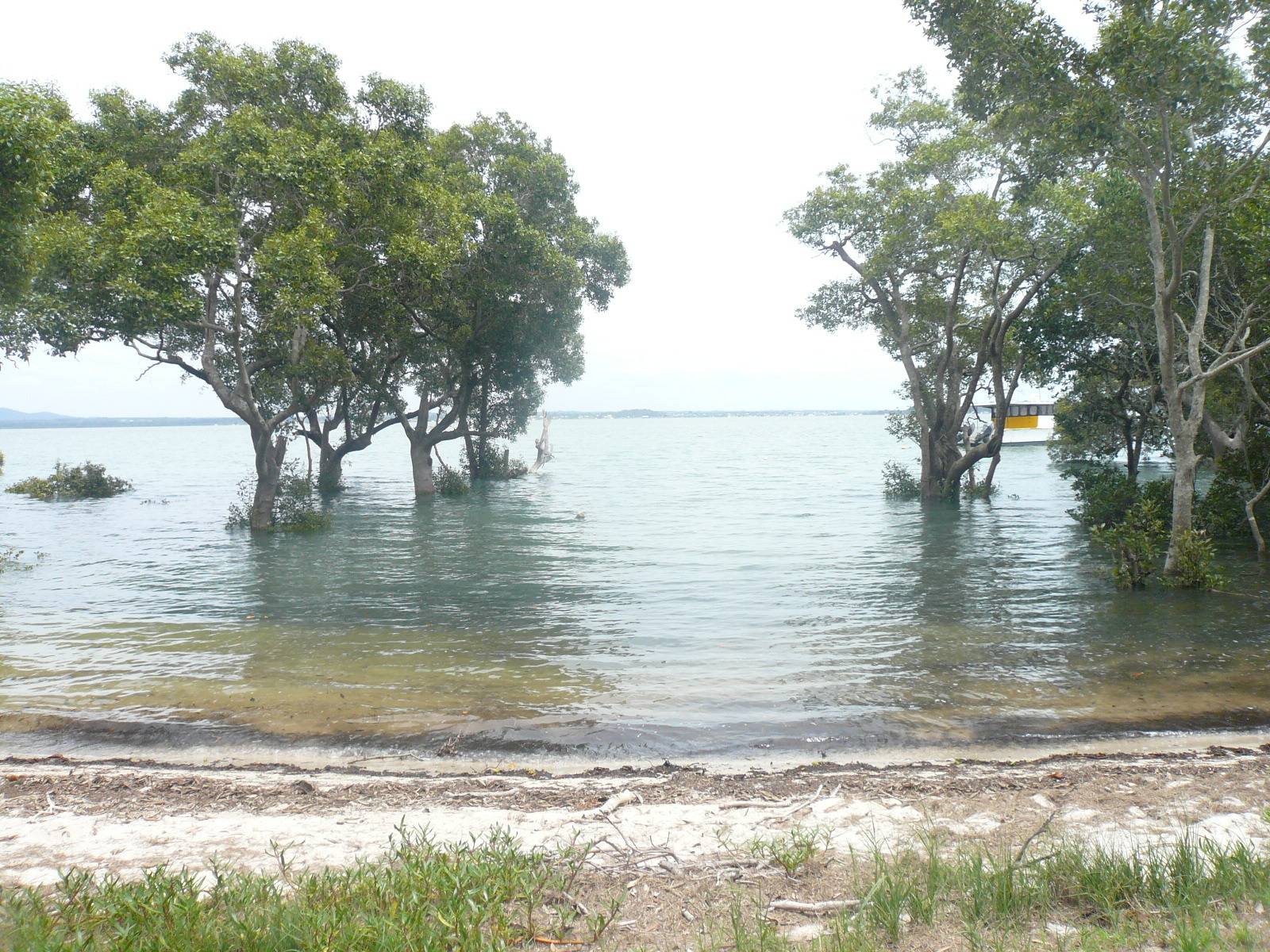 9 Attunga St, Macleay Island, Macleay Island - Thumbnail 2