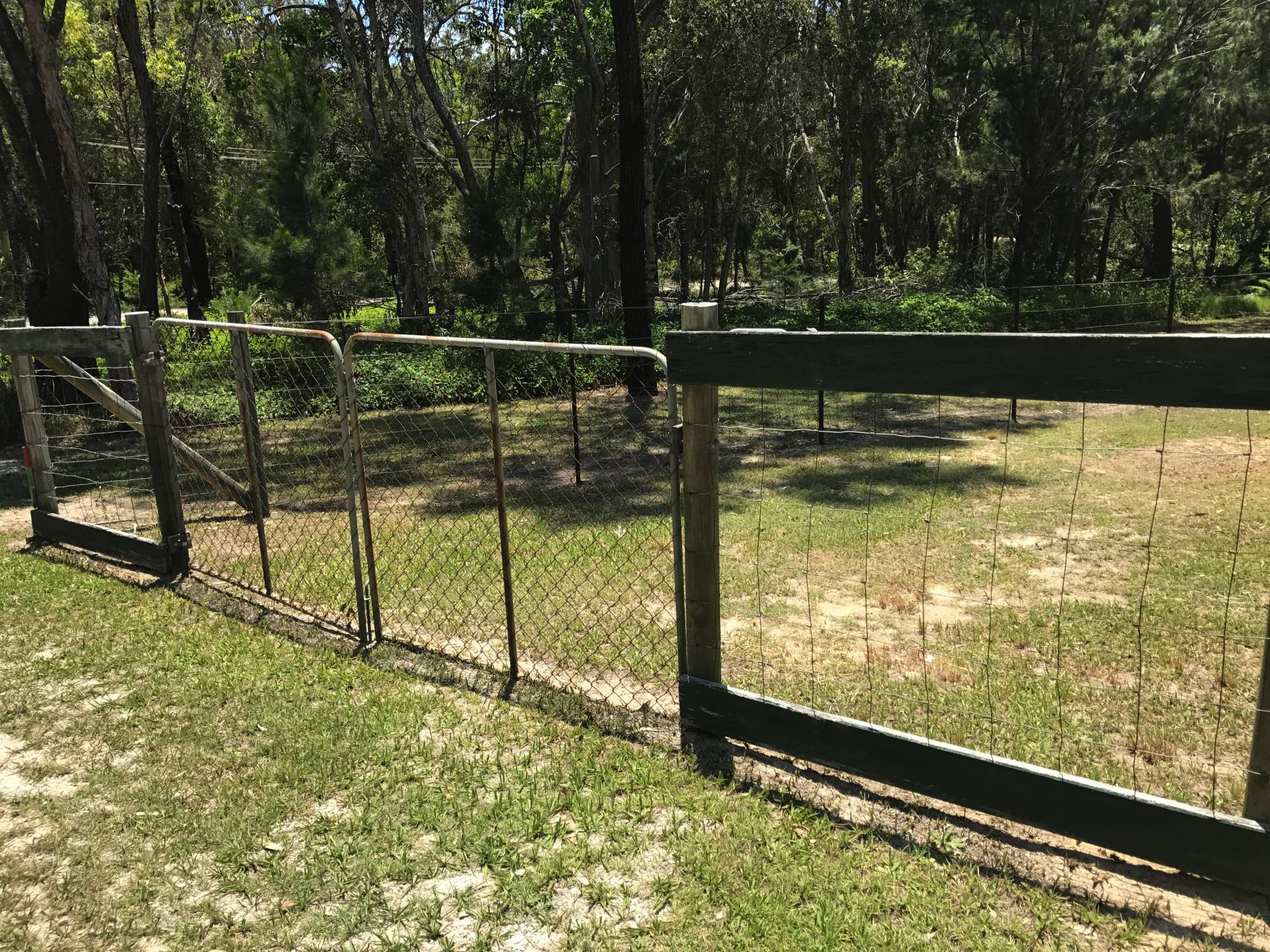 6-8 Weeroona Avenue, Macleay Island, Macleay Island - Thumbnail 4