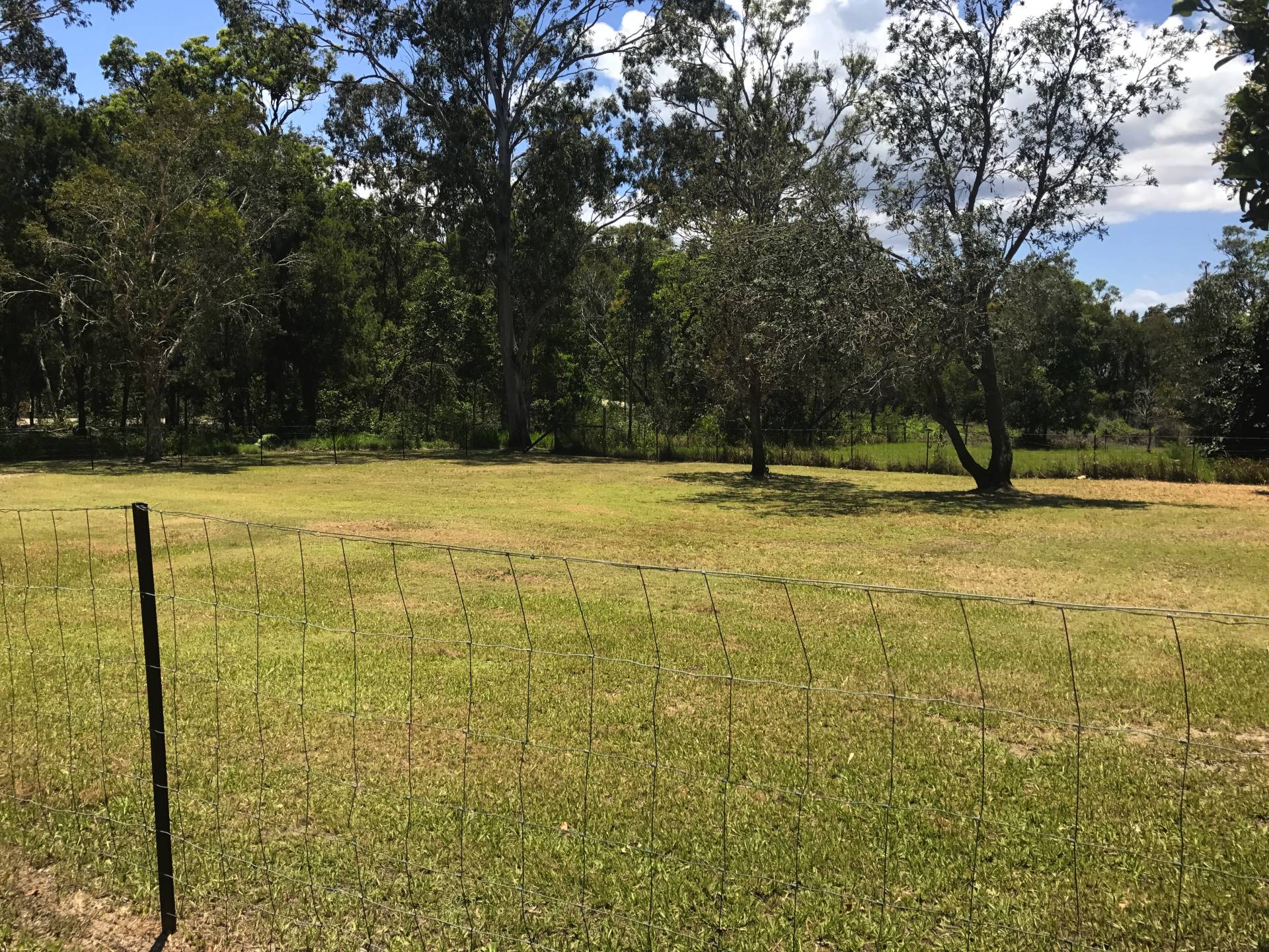 6-8 Weeroona Avenue, Macleay Island, Macleay Island - Thumbnail 6