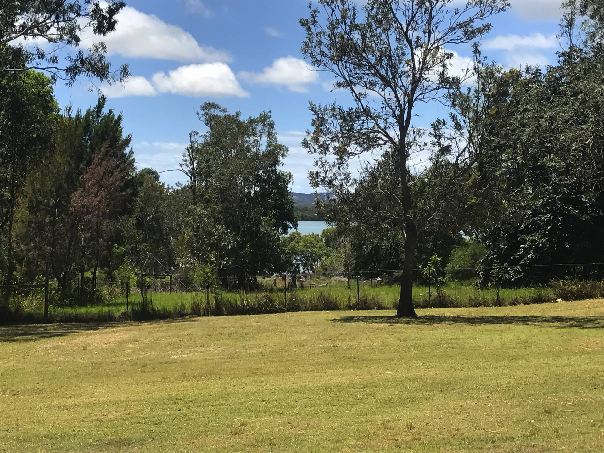 6-8 Weeroona Avenue, Macleay Island, Macleay Island - Thumbnail 7