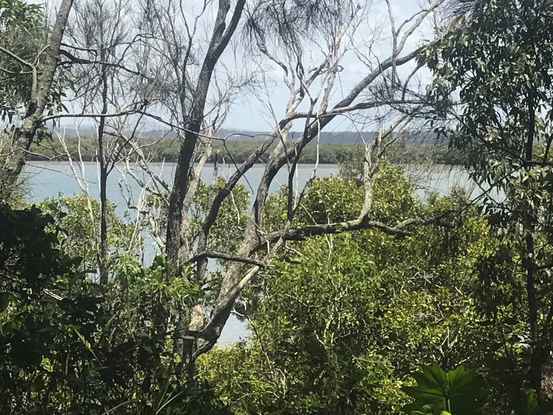 138 Western Rd, Macleay Island, Macleay Island - Thumbnail 2