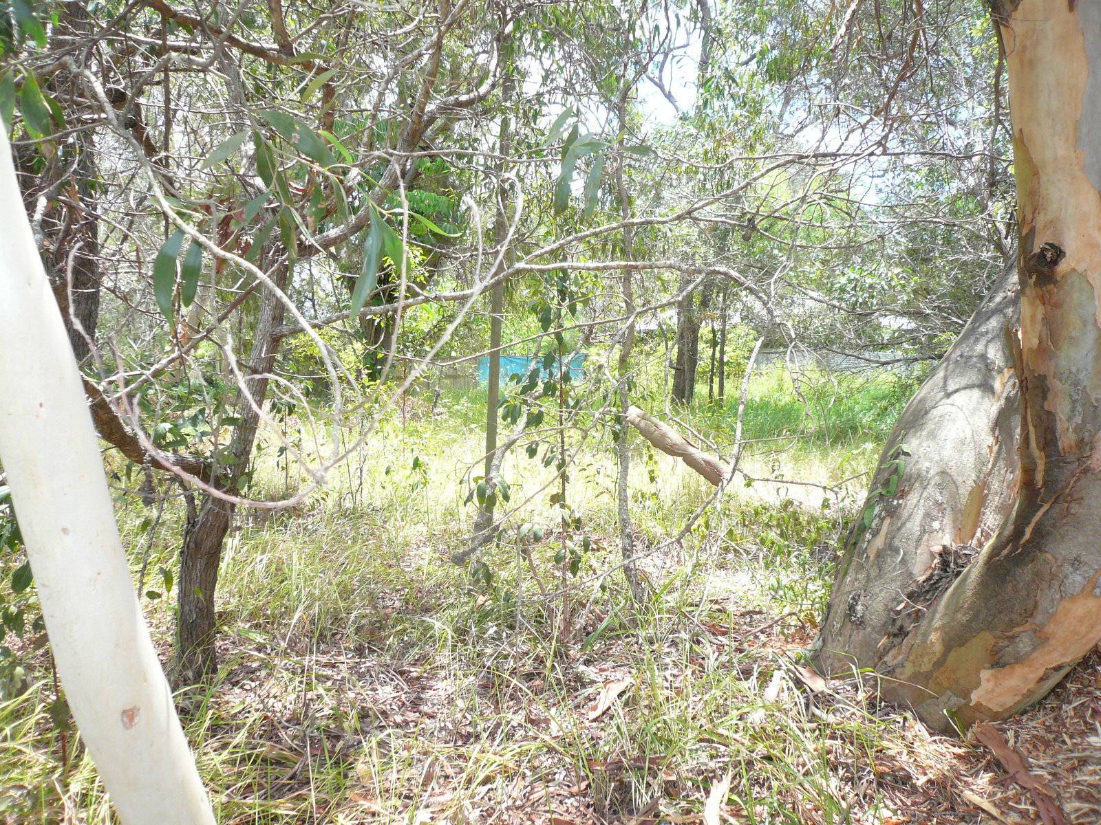 91 High Central Rd, Macleay Island, Macleay Island - Thumbnail 3