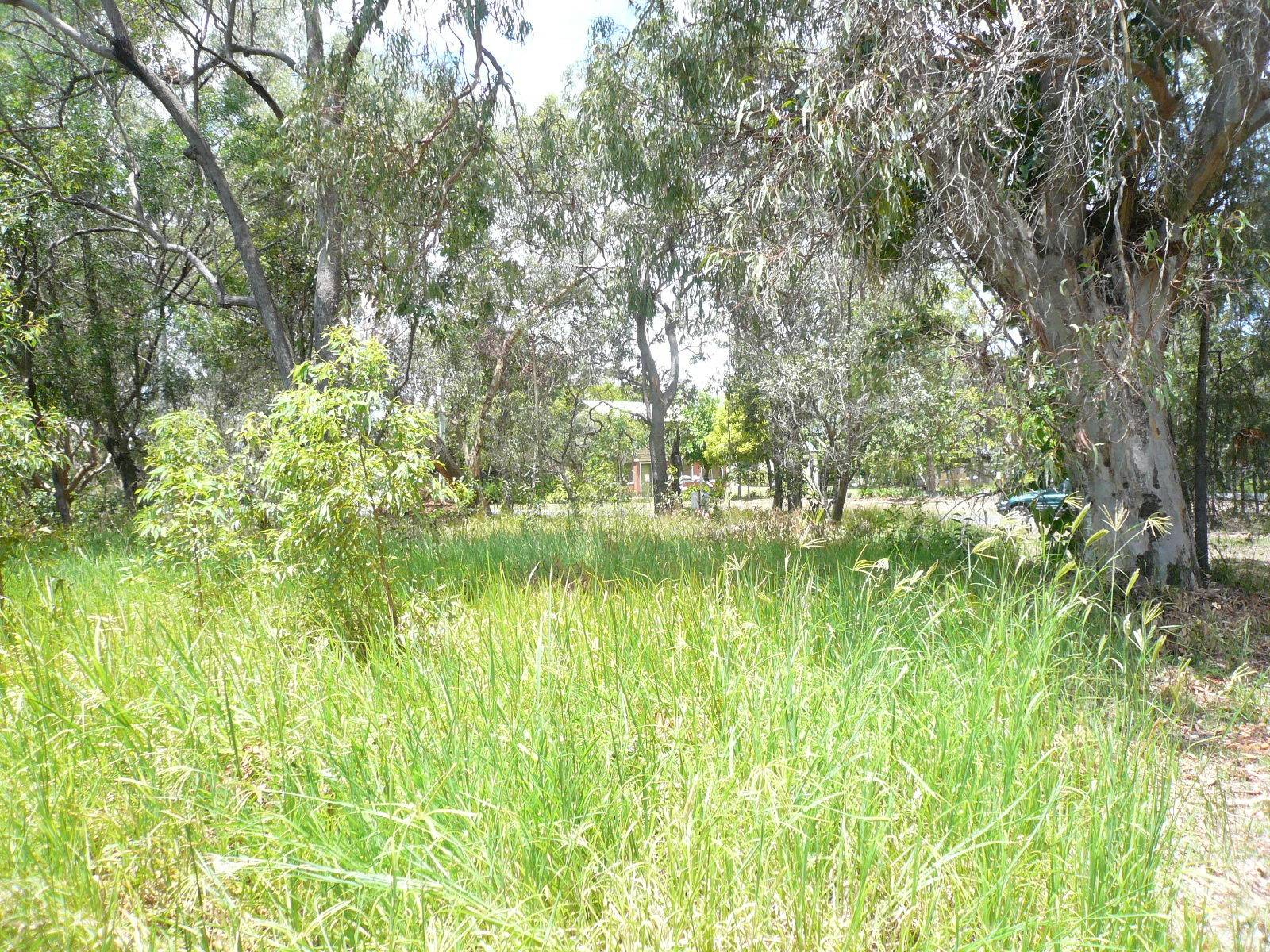 91 High Central Rd, Macleay Island, Macleay Island - Thumbnail 4