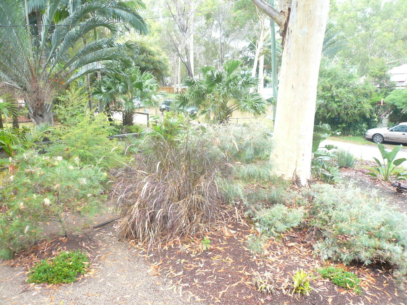 3 Morwong St, Macleay Island, Macleay Island - Thumbnail 4