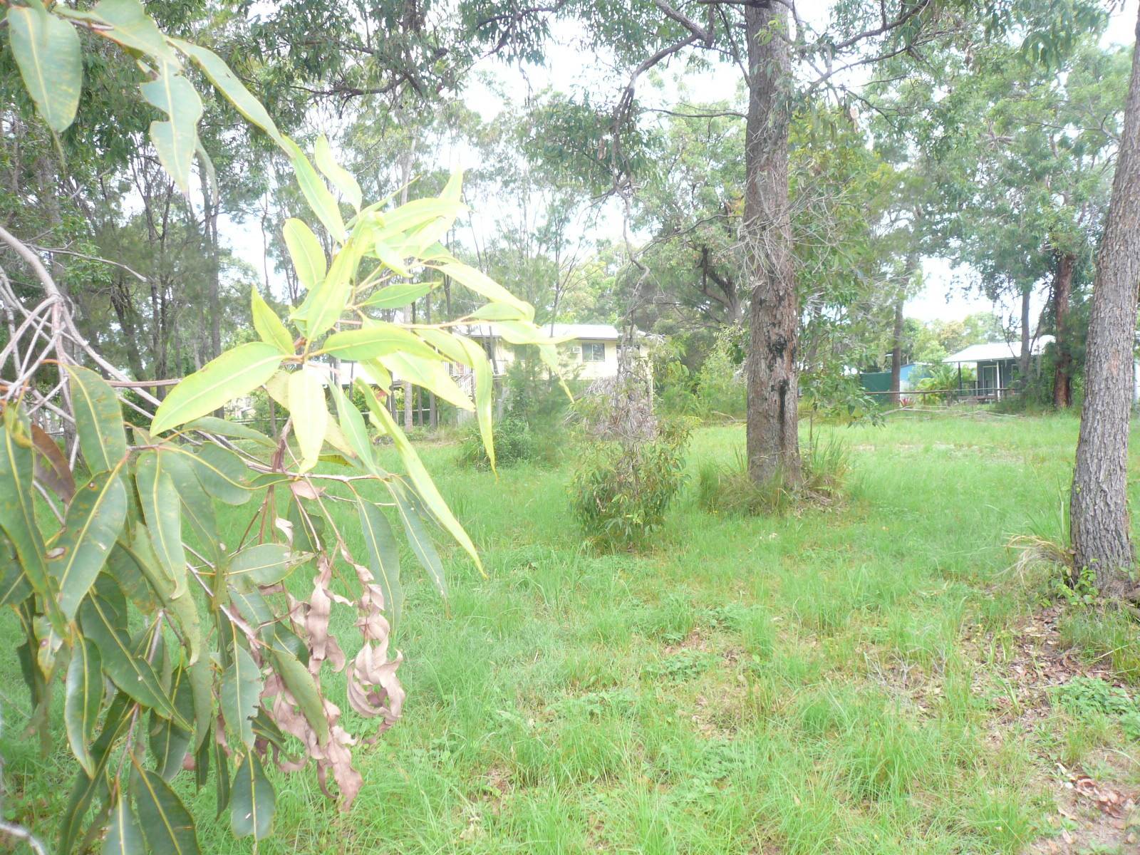14 Double Bay Street, Macleay Island, Macleay Island - Thumbnail 3