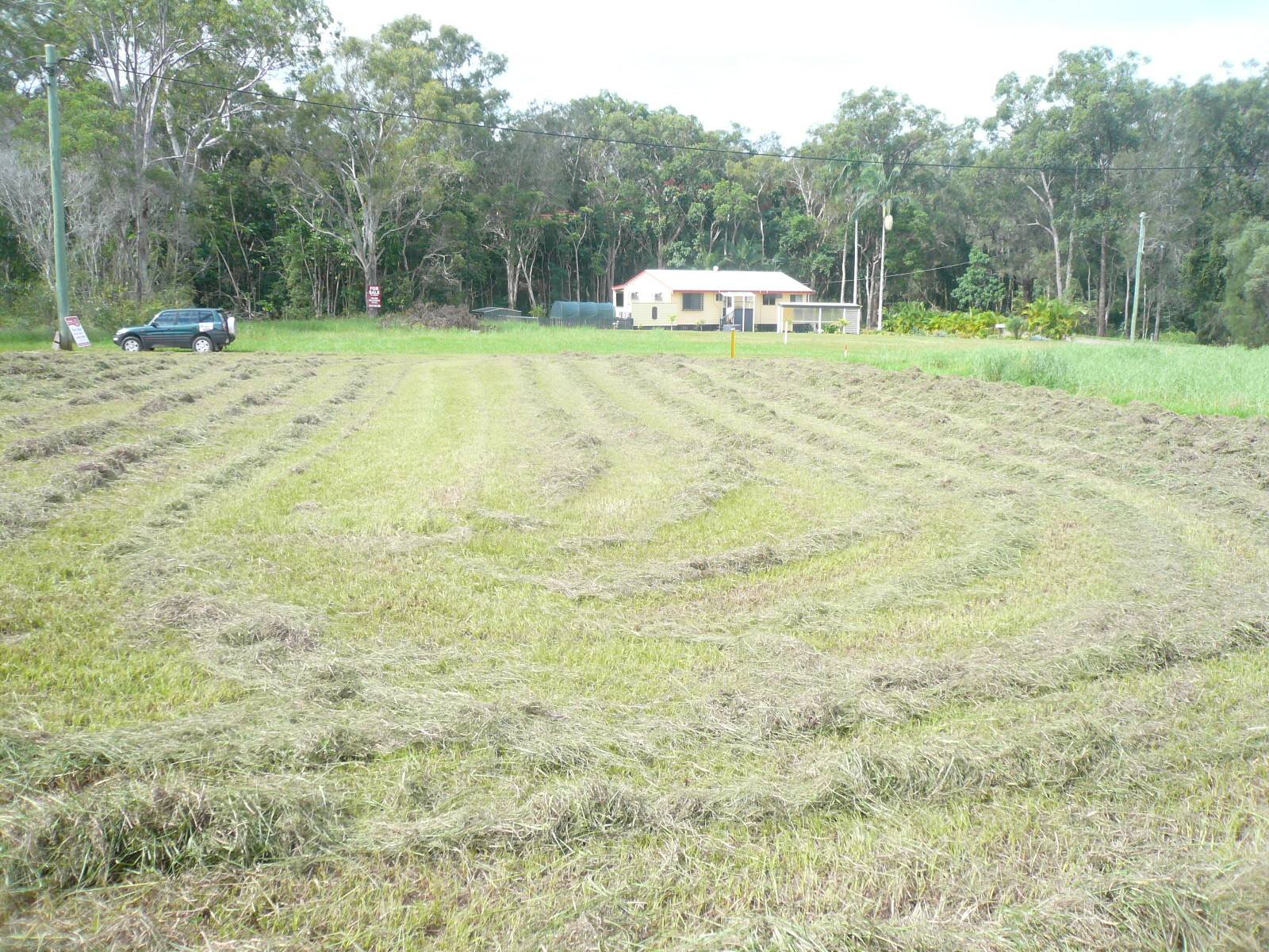 14 Donald St, Macleay Island, Macleay Island - Thumbnail 2