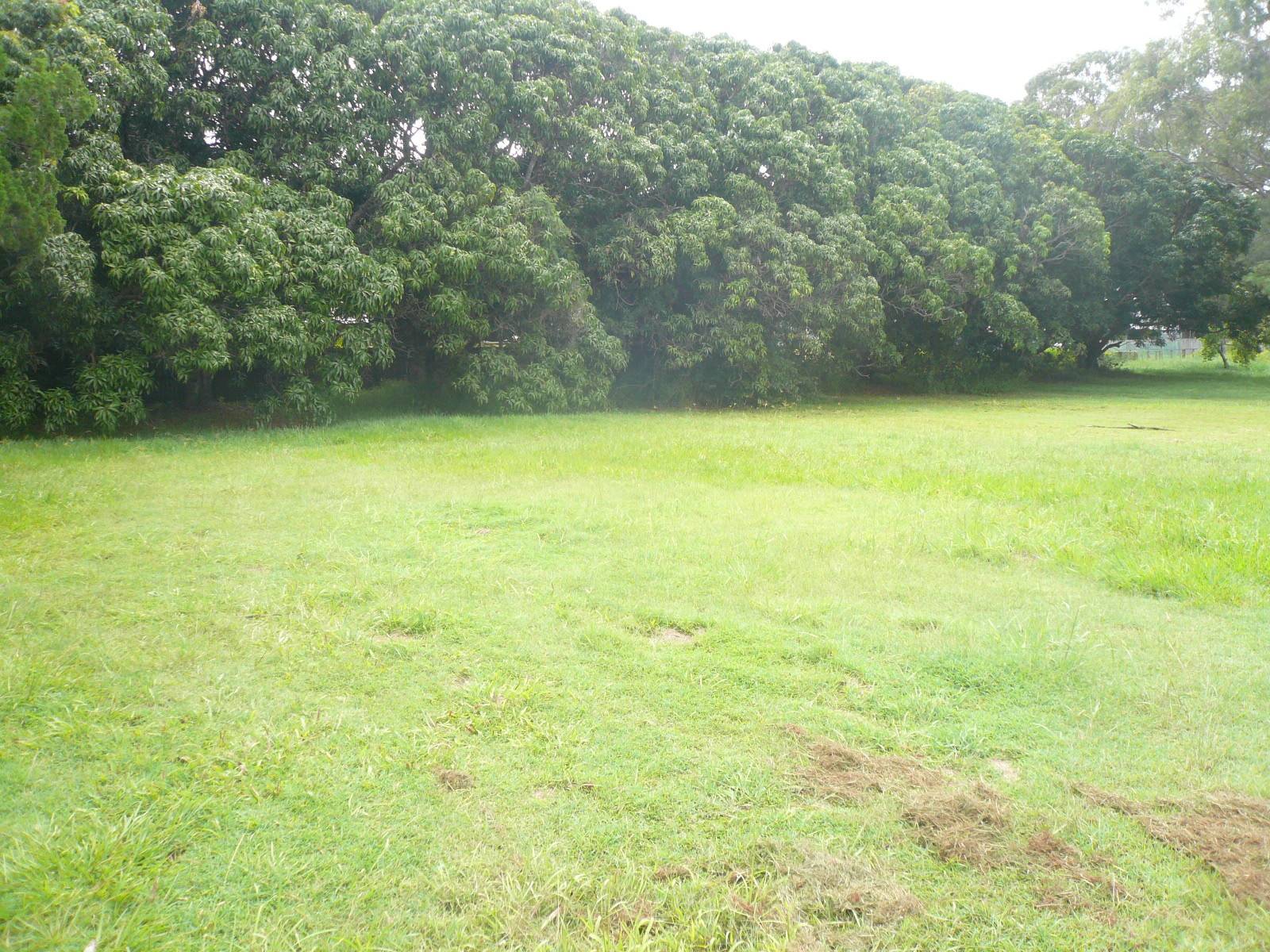 17 Betty St, Macleay Island, Macleay Island - Thumbnail 2