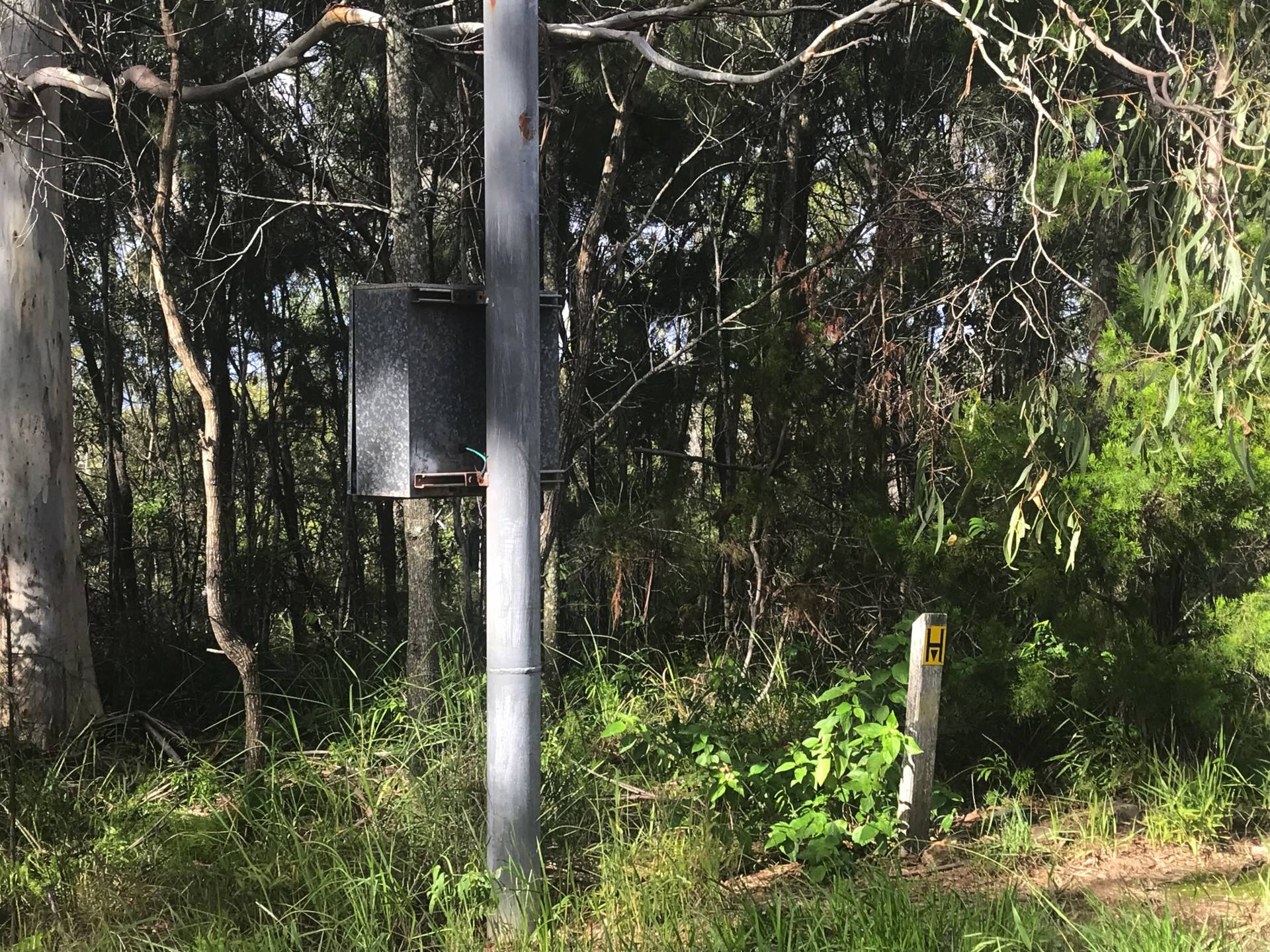 19 Beelong St, Macleay Island, Macleay Island - Thumbnail 3