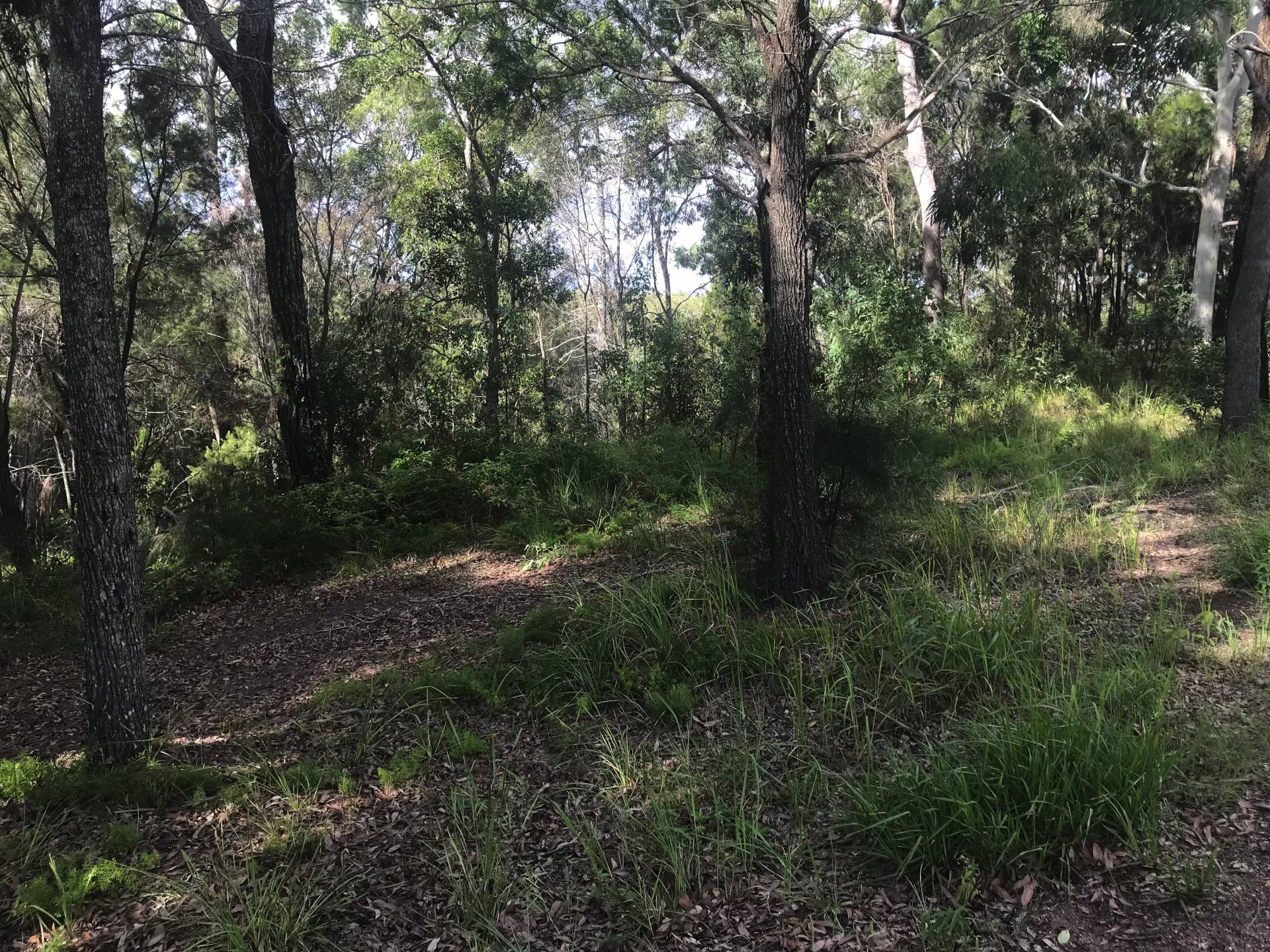 19 Beelong St, Macleay Island, Macleay Island - Thumbnail 2