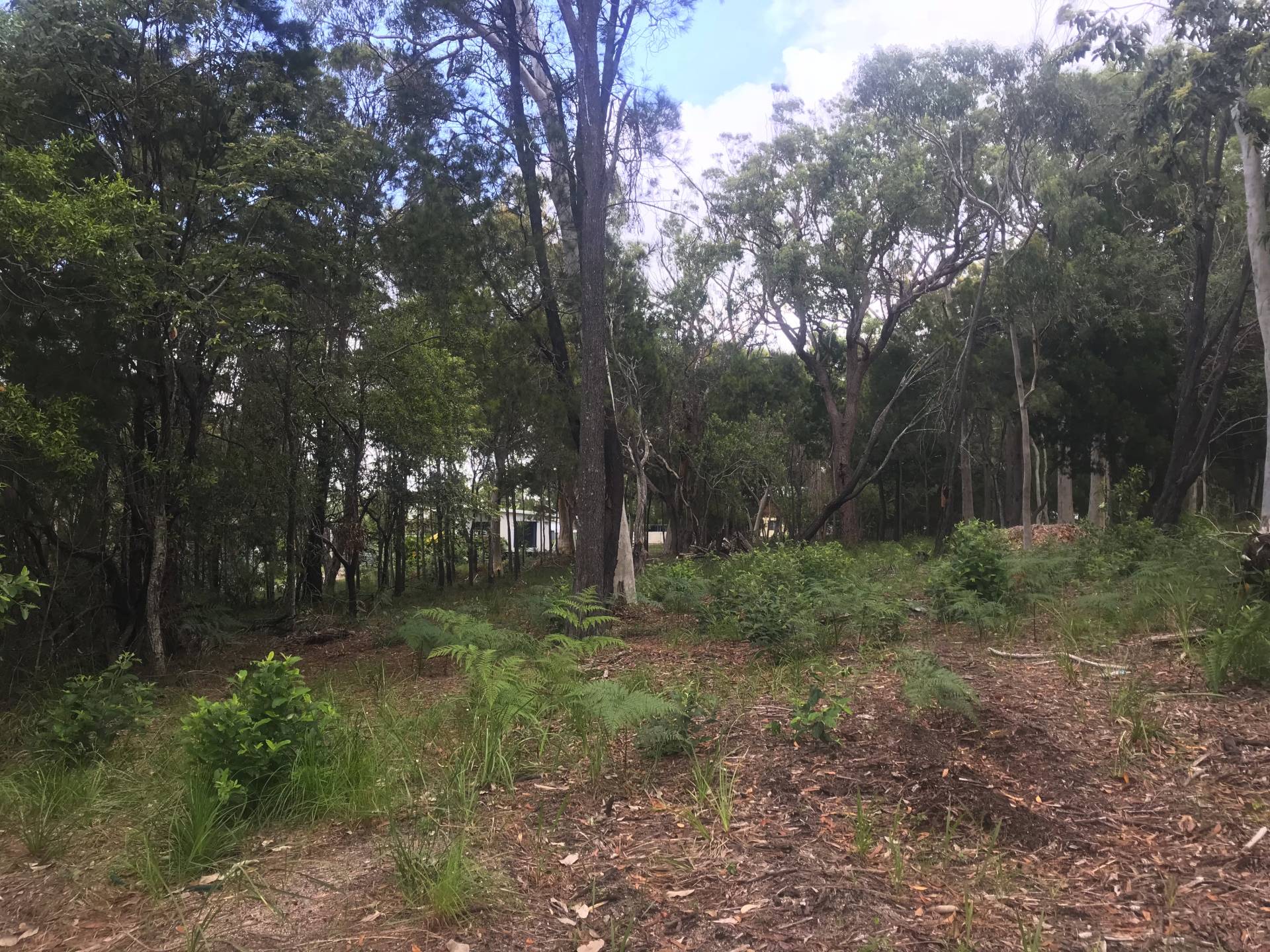 20 Baracoota St, Macleay Island, Macleay Island - Thumbnail 2