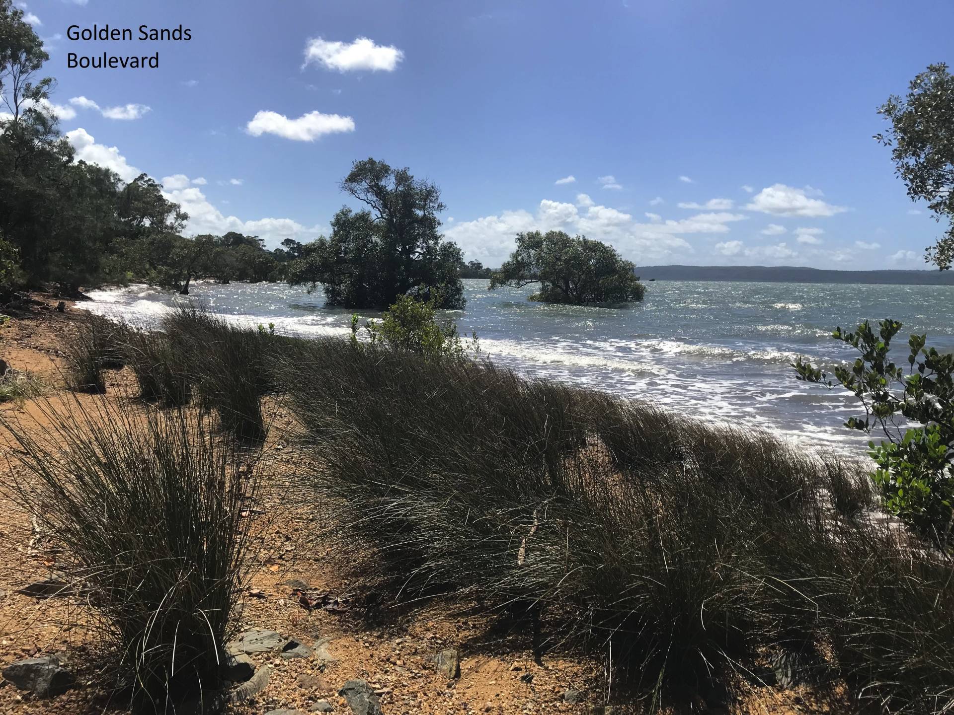20 Baracoota St, Macleay Island, Macleay Island - Thumbnail 4