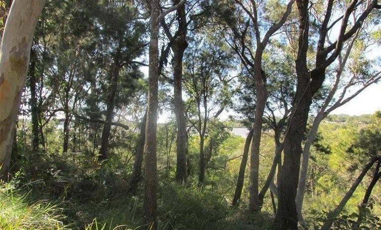 30 Timothy St, Macleay Island, Macleay Island - Thumbnail 4