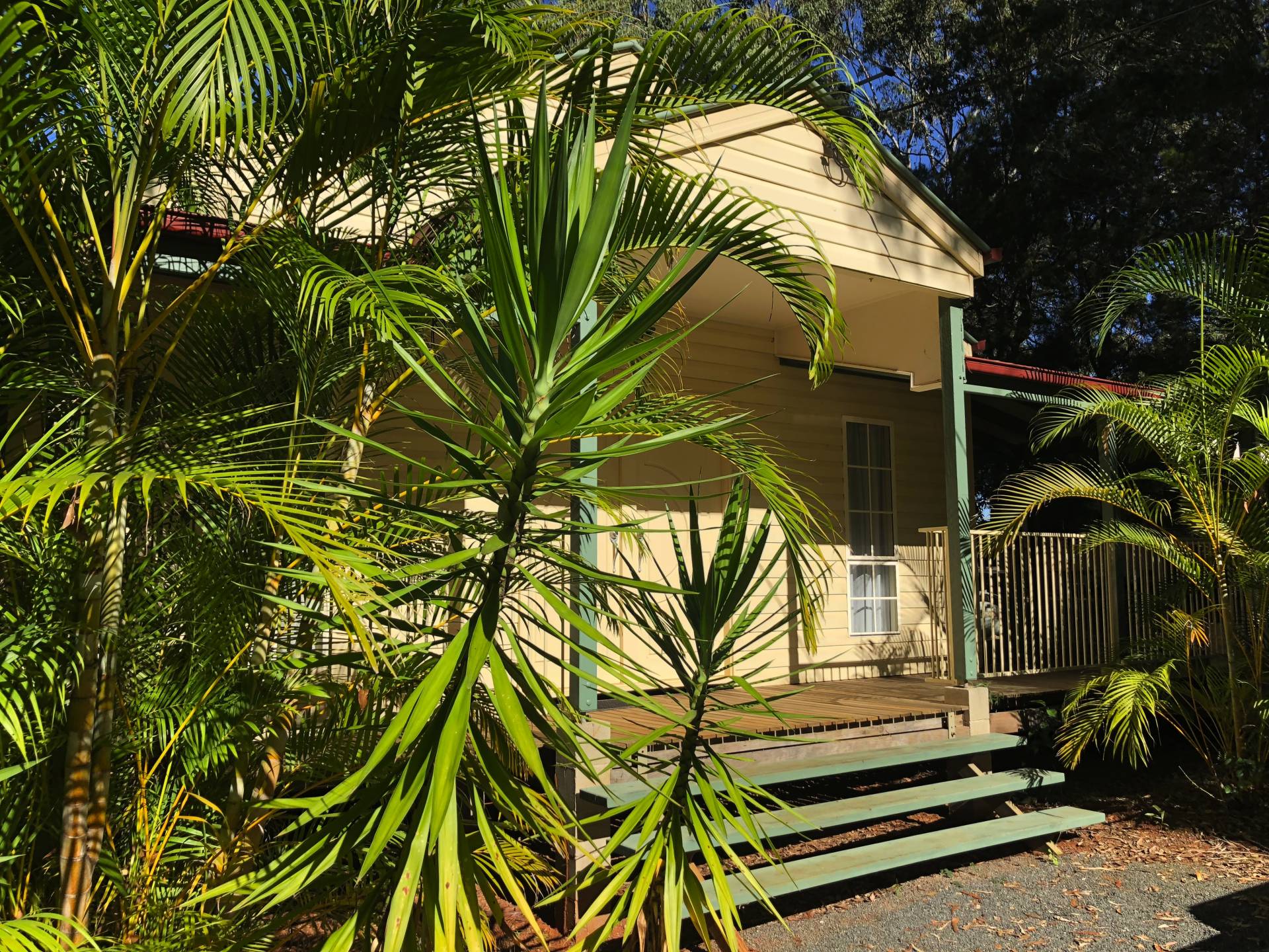 116 Treasure Island Ave, Karragarra Island, Karragarra Island - Thumbnail 8