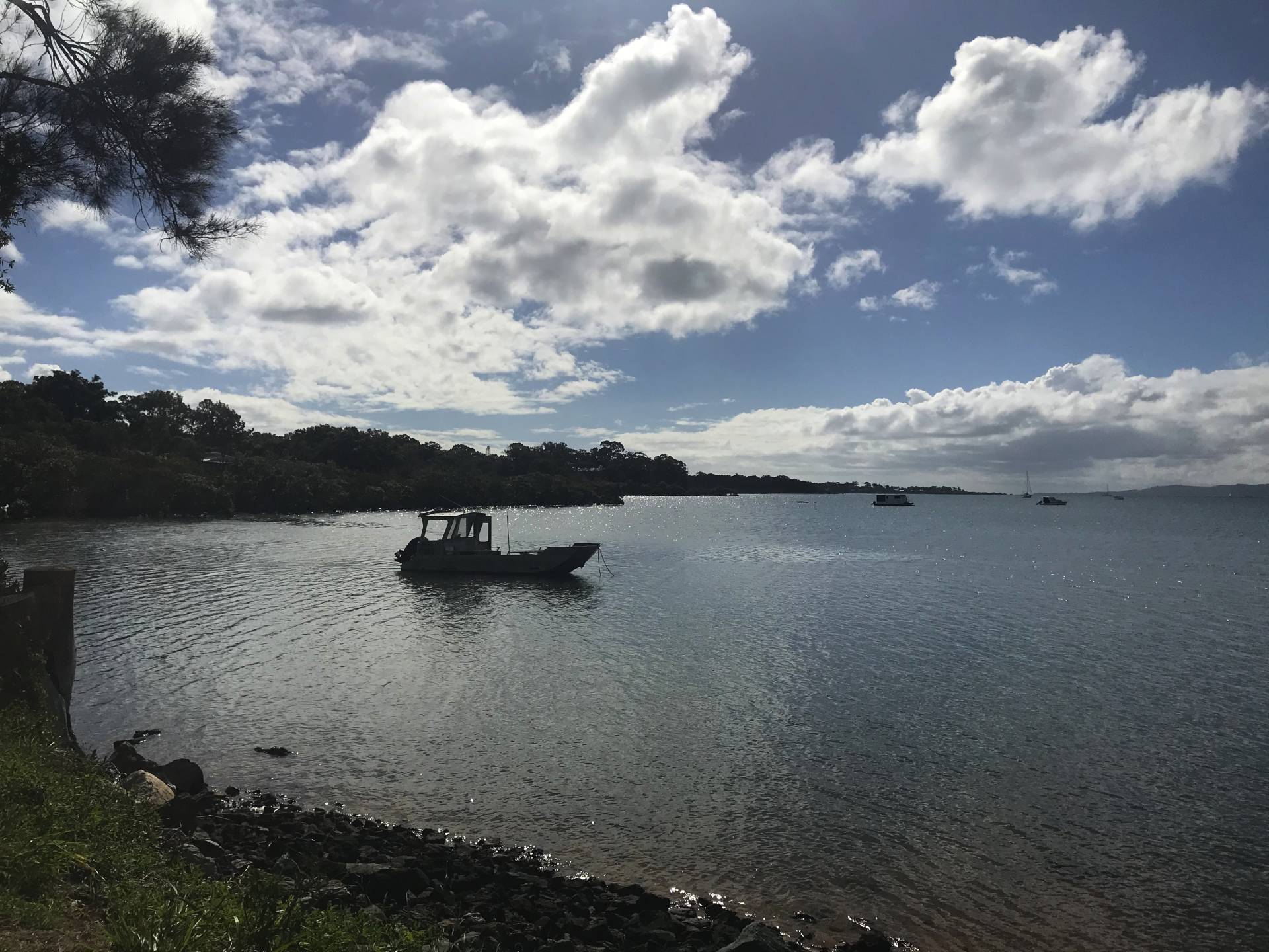 61 Timothy St, Macleay Island, Macleay Island - Thumbnail 8