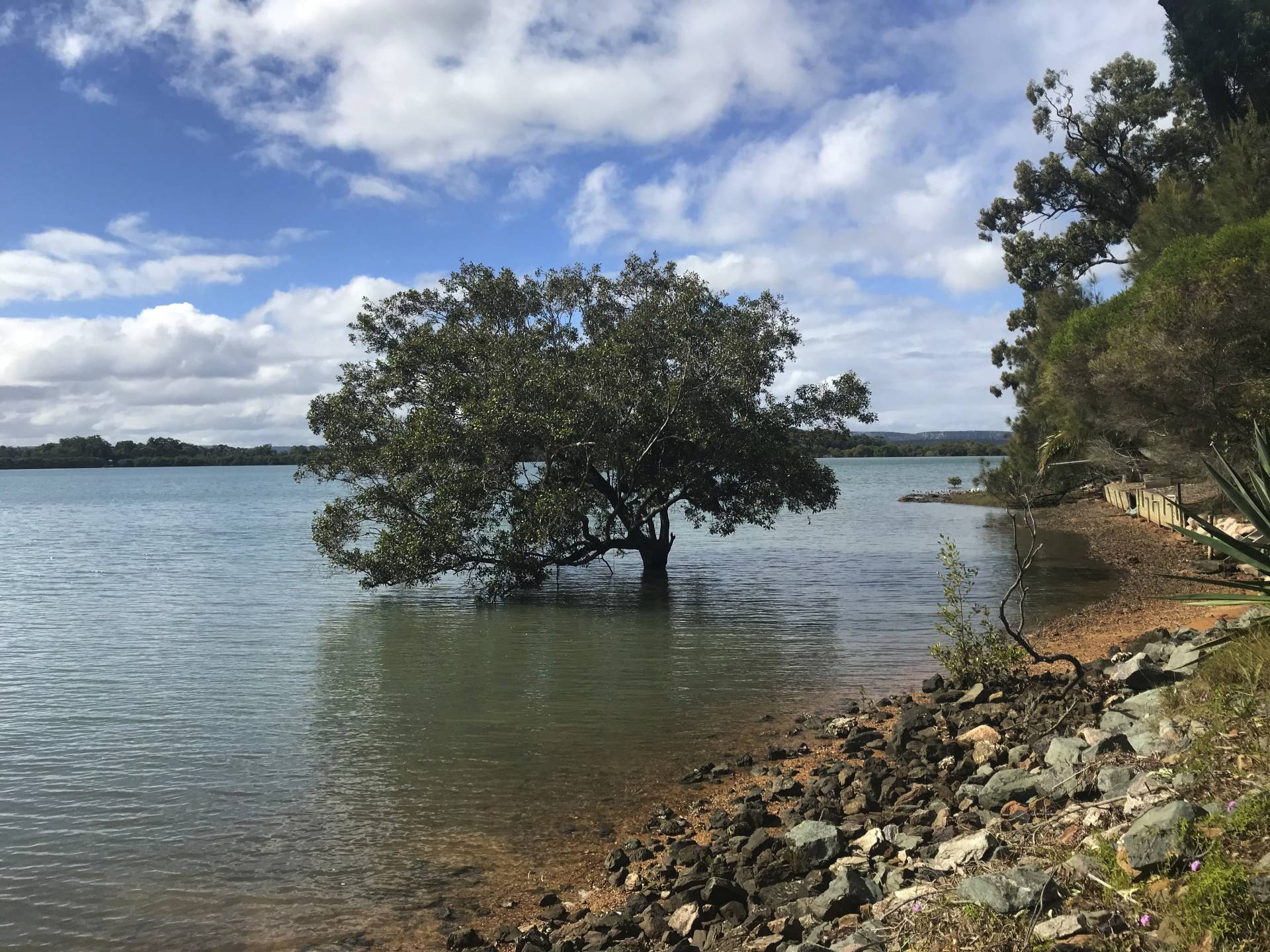 61 Timothy St, Macleay Island, Macleay Island - Thumbnail 7
