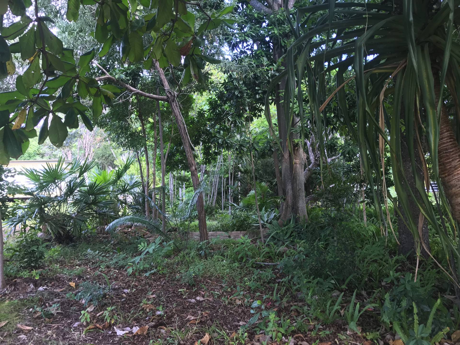 61 Timothy St, Macleay Island, Macleay Island - Thumbnail 3