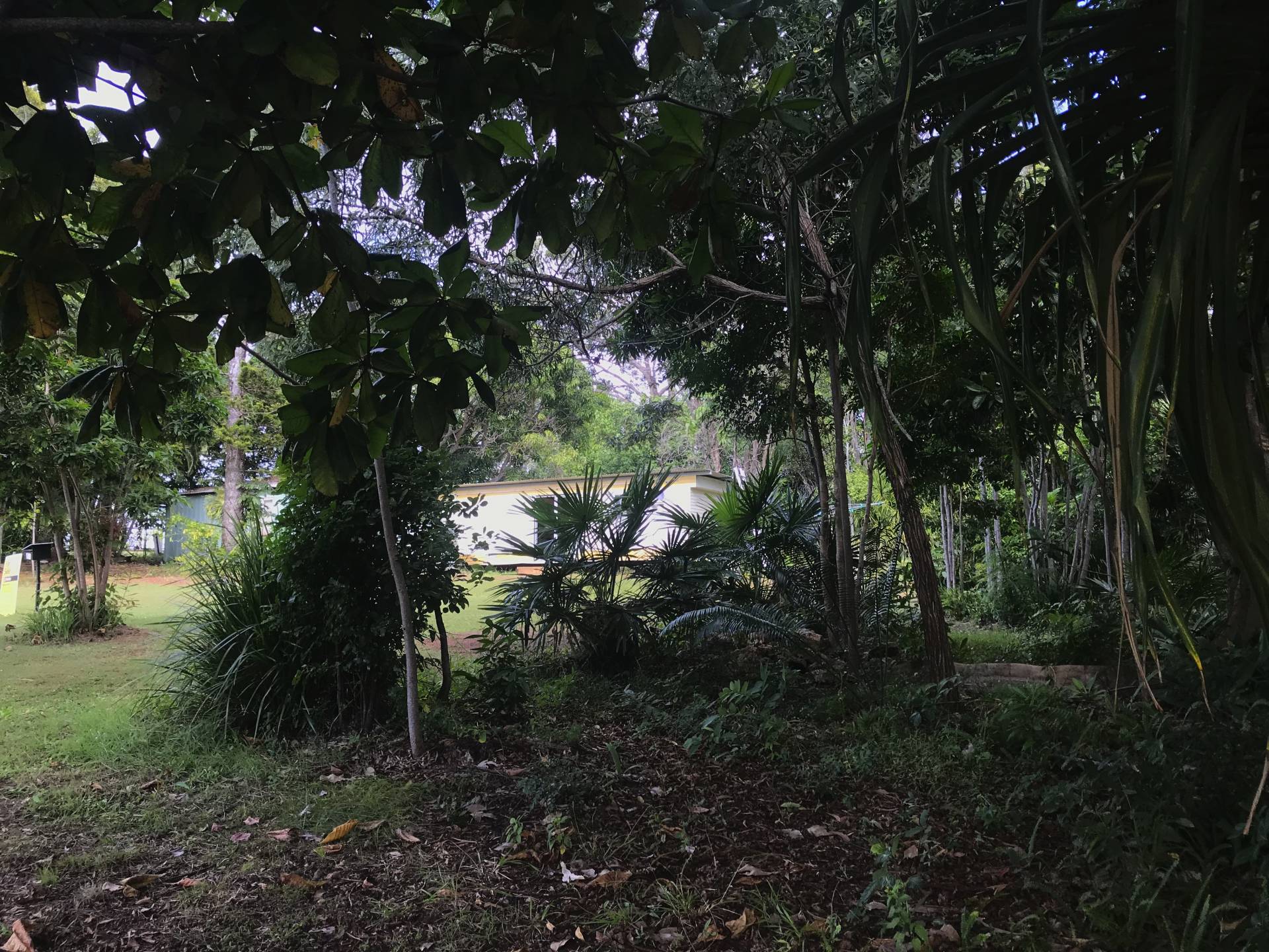 61 Timothy St, Macleay Island, Macleay Island - Thumbnail 2