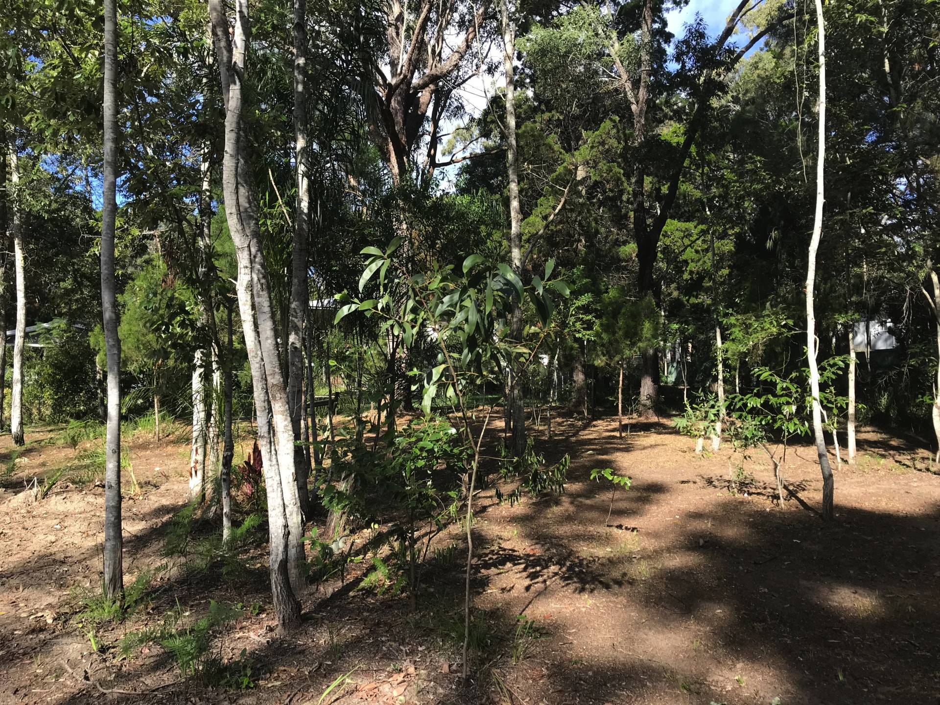 12-16 Dinjerra St, Macleay Island, Macleay Island - Thumbnail 5