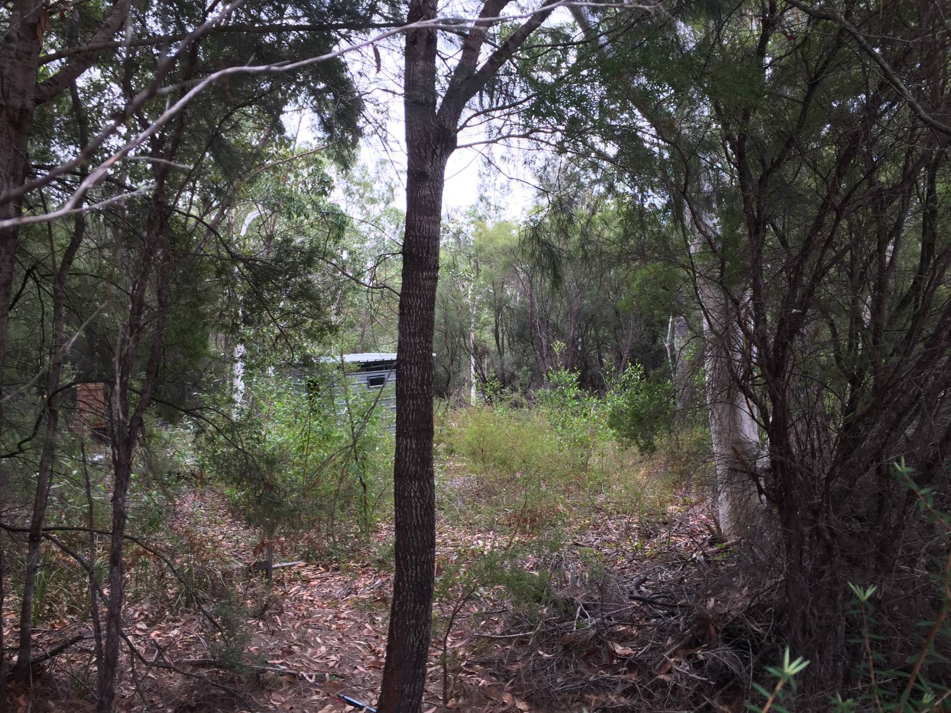 188 Centre Rd, Russell Island, Russell Island - Thumbnail 5